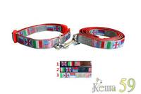 Collar&Lead Ошейник с поводком для собак нейлон 25ммx122см+51см