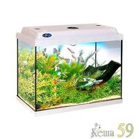 Аквариум Классик 50 л (свет LED ,фильтр,нагреватель)