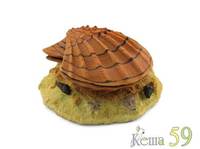 Распылитель Раковина с жемчужиной 14x13x6,5см