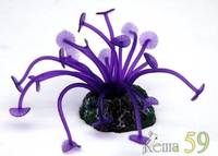 Силиконовый Коралл фиолетовый 3,5x3x8