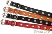 ZooTREND Ошейник безразмерник №25 кожа 2,5x52см