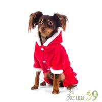 Костюм Новый Год
