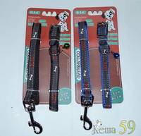 Collar&Lead Ошейник с поводком для собак нейлон 15ммx122см+40см