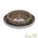 Trendy Dinner Миска пластиковая Дикая природа 16x3,2см