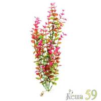 Barbus Искусственное растение Бакопа красная 30см