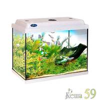 Аквариум Классик 40 л (свет LED, фильтр,нагреватель)