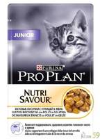 Pro Plan Junior пауч для котят с курицей в желе 85гр
