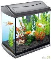 Tetra аквариумный комплекс AquaArt Shrimps Discover Line 20л