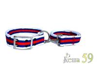 Collar&Lead Ошейник с поводком для собак нейлон 38ммx122см+51см