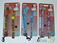 Collar&Lead Ошейник с поводком для собак нейлон 10ммx122см+30см