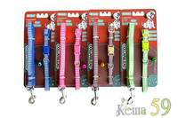 Collar&Lead Ошейник с поводком для собак нейлон 10ммx122см+30см