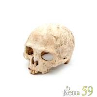 Декор для аквариума Череп 15x12x11 см