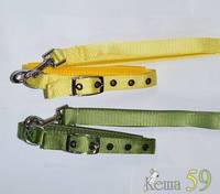 Collar&Lead Ошейник с поводком для собак нейлон 25ммx122см+61см