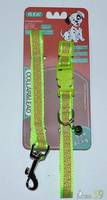 Collar&Lead Ошейник с поводком для собак нейлон 15ммx122см+40см