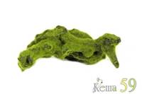 Коряга замшелая 15x7x7см