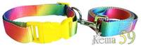 Collar&Lead Ошейник с поводком для собак нейлон 15ммx122см+40см
