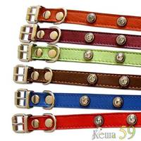 ZooTREND Ошейник Камни №10 кожа 1,0x30см