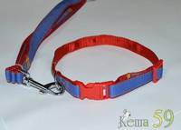 Collar&Lead Ошейник с поводком для собак нейлон 20ммx122см+46см