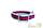 Collar&Lead Ошейник нейлон 38ммx71см